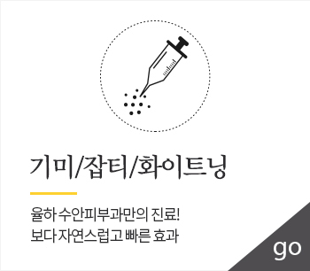 기미/잡티/화이트닝 